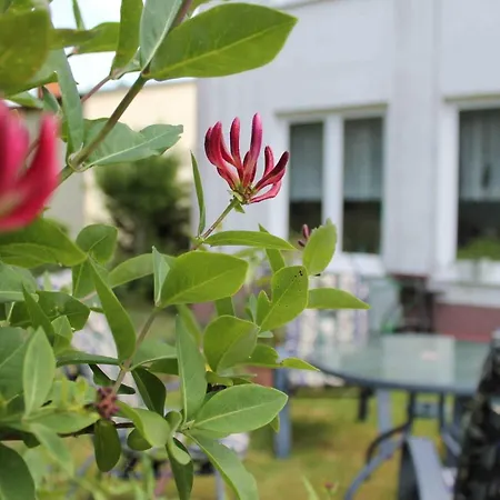 M9 Mit Balkon Am Waldrand Im Ostseeland Privatunterkunft *